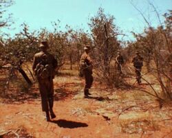 SADF-Operations 4.jpg