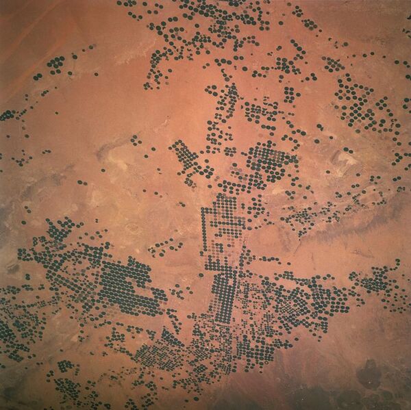 File:Saudi Arabia irrigation.jpg