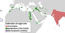 Spread sugarcane.JPG