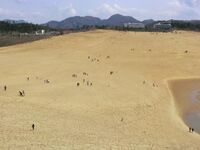 Tottori Sand Dunes - panoramio.jpg