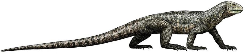 File:Trilophosaurus buettneri (flipped).jpg