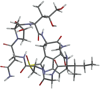Amaninamide with tube model.png