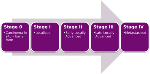 Cancer Stages