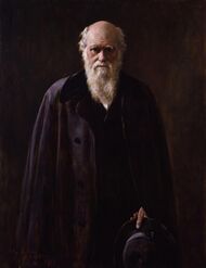 Three-quarter portrait of a senior Darwin dressed in black before a black background; his face and six-inch white beard are dramatically lit from the side; his eyes are shaded by his brows and look directly and thoughtfully at the viewer