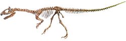 Cryolophosaurus skeleton.jpg