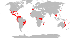 Global distribution of Lantana camara.svg