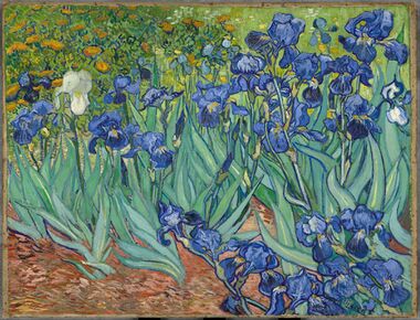 Painting of a bed of irises