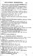 page from Linnaeus' Species Plantarum, describing Ornithogalum umbellatum
