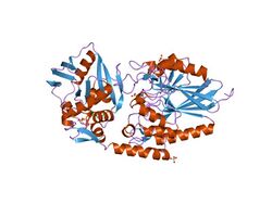 PDB 1hp1 EBI.jpg