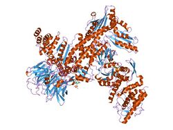 PDB 1u2v EBI.jpg