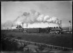 Royal train near Dunedin, on the Royal Tour of the Duke and Duchess of York, 1927. ATLIB 291090.png