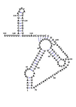 Rsaog structure.pdf