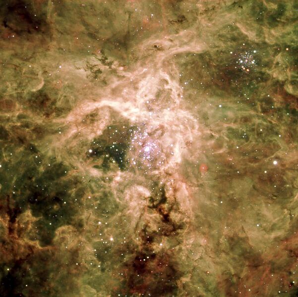 File:Tarantula Nebula.jpg