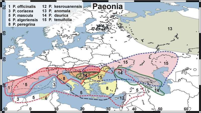 File:Distribution map paeonia europa.png