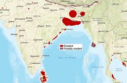 FishingCat distribution.jpg