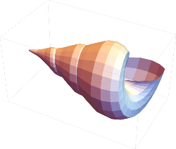 graphics complex of a seashell with flat shading modeled in Mathematica