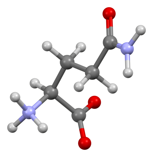 File:Glutamine-from-xtal-3D-bs-17.png