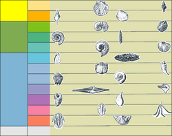 Index fossils blank 01.png