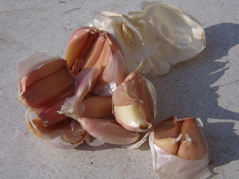File:Italian garlic PDO.JPG