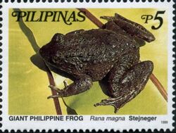Limnonectes magnus 1999 stamp of the Philippines.jpg