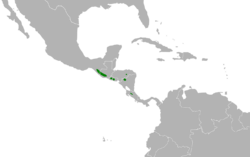 Melozone leucotis map.svg