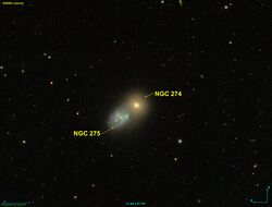 NGC 0274 SDSS.jpg