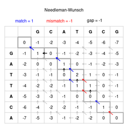 Needleman-Wunsch pairwise sequence alignment.png