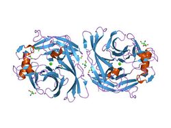 PDB 1s18 EBI.jpg