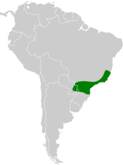 Phylloscartes paulista map.svg