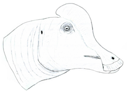 Adelolophus LM.png