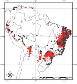 Amorimia distribution in Seasonally Dry Tropical Forests (red) of South America.jpg