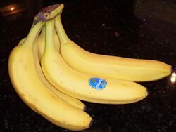 Bananas on countertop.JPG