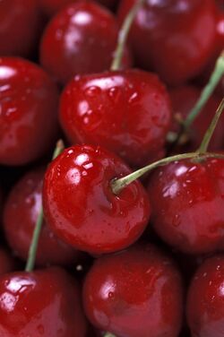 Bing Cherries (USDA ARS).jpg