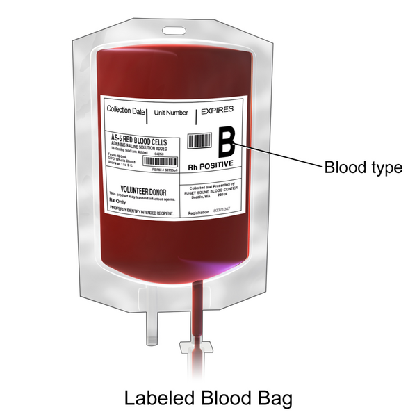 File:Blausen 0086 Blood Bag.png