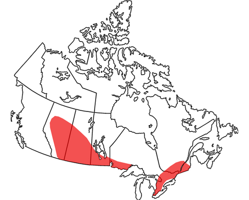 Earth:Canada Tornado Alley - HandWiki