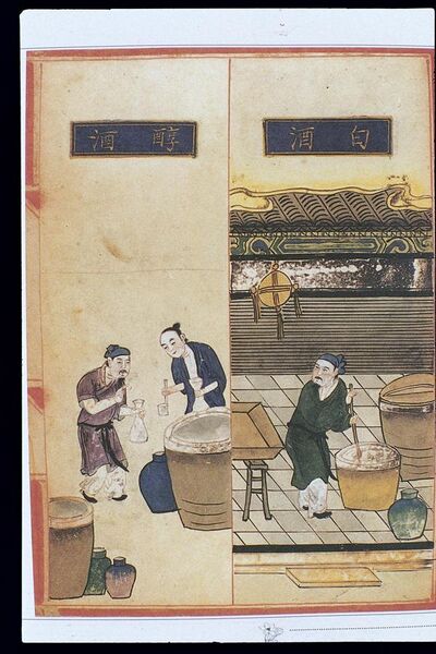 File:Chinese Materia Dietetica, Ming; Alcoholic beverages Wellcome L0039399.jpg