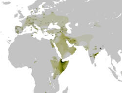 Distribution Haplogroup T Y-DNA II.svg