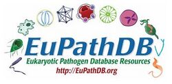 EuPathDB Logo.jpg
