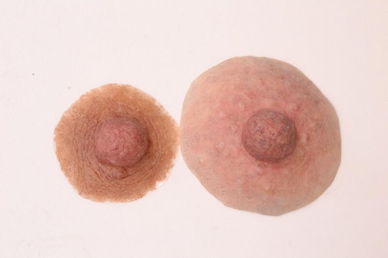 File:Examples of Custom Nipple Prostheses.jpg