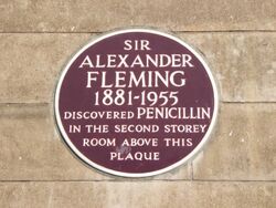 Fleming's Plaque - geograph.org.uk - 1452410.jpg