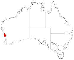 Hakea flabellifoliaDistMap51.png