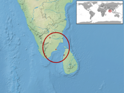 Hemidactylus scabriceps distribution.png