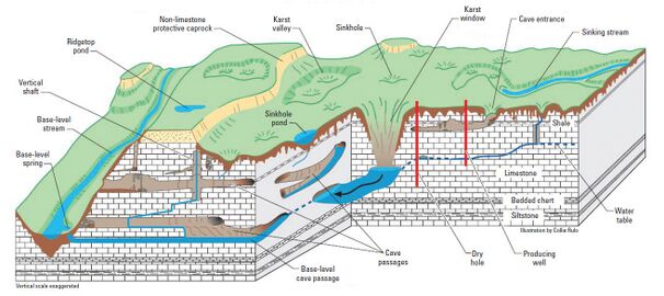 A geological cross section of a landscape that shows the hydrological features of Karsk topology.