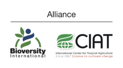 Logo of The Alliance of Bioversity International and CIAT.png