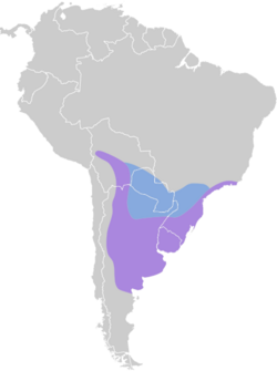 Pipraeidea bonariensis map.svg