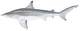 Spinner shark (Duane Raver).png