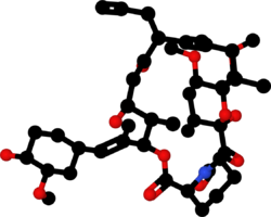 Tacrolimus-1YAT-ball-and-stick-model.png