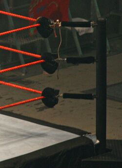 Wrestling Turnbuckles (WWE) jjron 10.11.2007.jpg