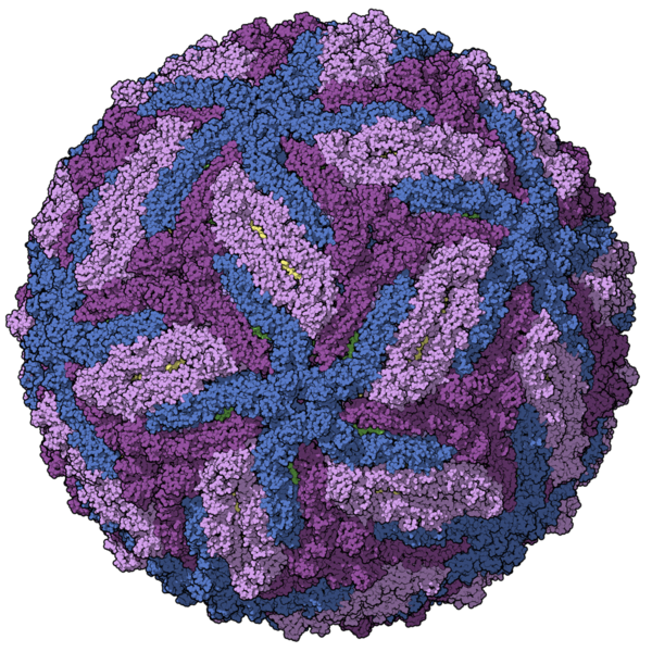 File:Zika-chain-colored.png