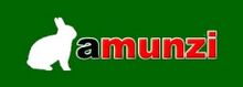 Amunzi logo.jpg